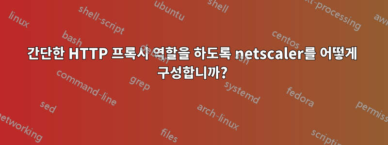 간단한 HTTP 프록시 역할을 하도록 netscaler를 어떻게 구성합니까?