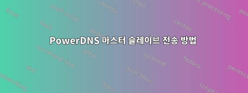 PowerDNS 마스터 슬레이브 전송 방법