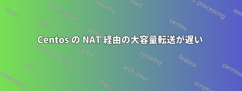 Centos の NAT 経由の大容量転送が遅い