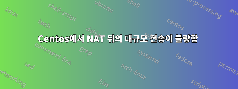 Centos에서 NAT 뒤의 대규모 전송이 불량함