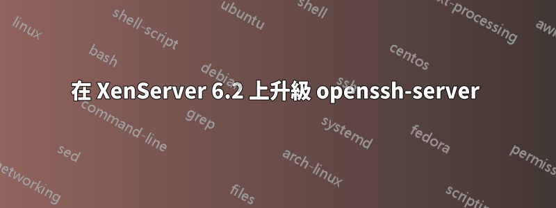 在 XenServer 6.2 上升級 openssh-server