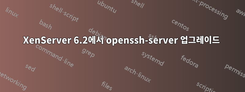 XenServer 6.2에서 openssh-server 업그레이드