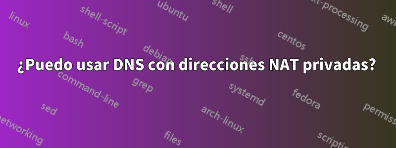 ¿Puedo usar DNS con direcciones NAT privadas?