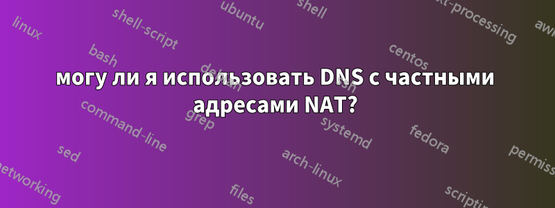 могу ли я использовать DNS с частными адресами NAT?