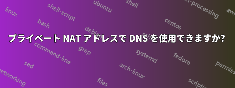 プライベート NAT アドレスで DNS を使用できますか?