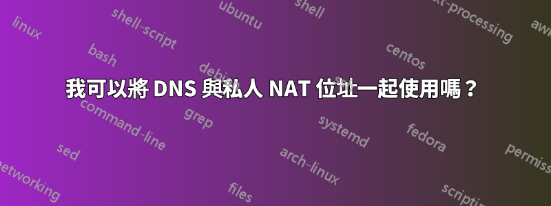 我可以將 DNS 與私人 NAT 位址一起使用嗎？