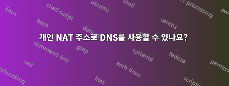 개인 NAT 주소로 DNS를 사용할 수 있나요?