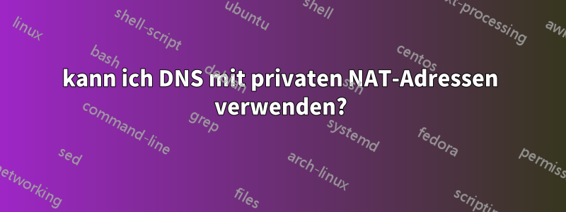 kann ich DNS mit privaten NAT-Adressen verwenden?