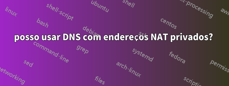 posso usar DNS com endereços NAT privados?