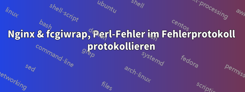 Nginx & fcgiwrap, Perl-Fehler im Fehlerprotokoll protokollieren