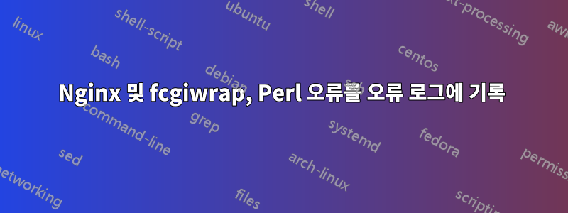 Nginx 및 fcgiwrap, Perl 오류를 오류 로그에 기록