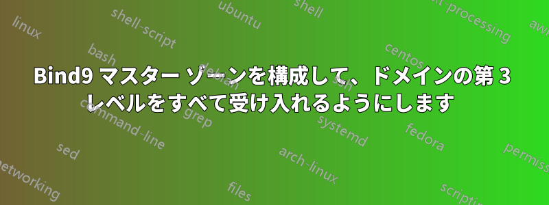 Bind9 マスター ゾーンを構成して、ドメインの第 3 レベルをすべて受け入れるようにします 