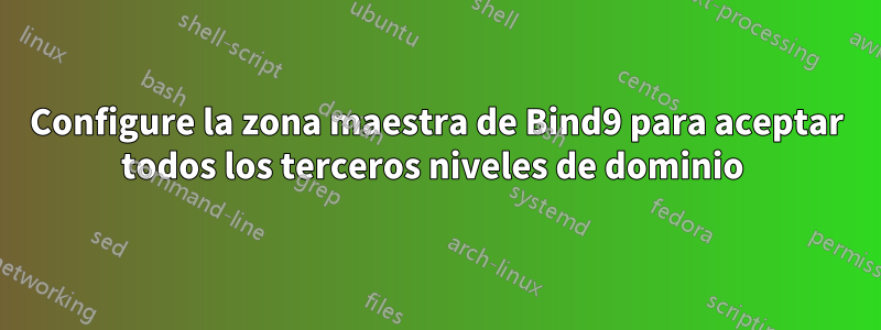 Configure la zona maestra de Bind9 para aceptar todos los terceros niveles de dominio 