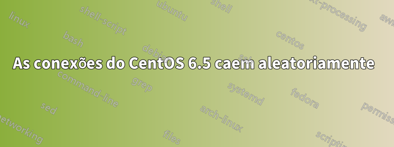 As conexões do CentOS 6.5 caem aleatoriamente 