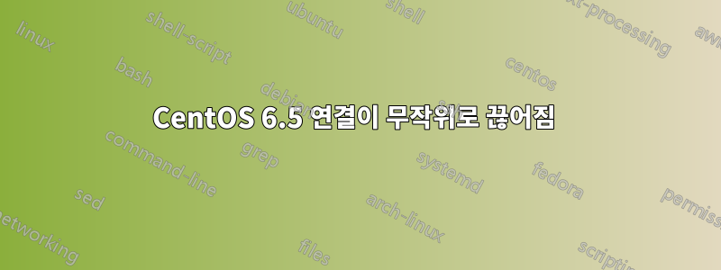 CentOS 6.5 연결이 무작위로 끊어짐 