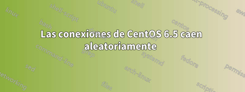 Las conexiones de CentOS 6.5 caen aleatoriamente 