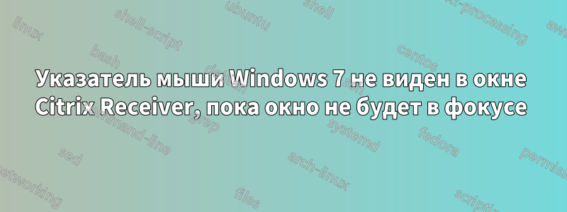 Указатель мыши Windows 7 не виден в окне Citrix Receiver, пока окно не будет в фокусе