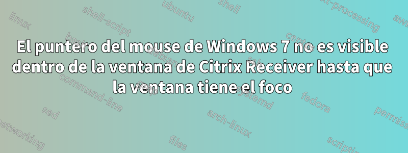 El puntero del mouse de Windows 7 no es visible dentro de la ventana de Citrix Receiver hasta que la ventana tiene el foco