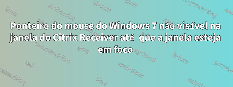 Ponteiro do mouse do Windows 7 não visível na janela do Citrix Receiver até que a janela esteja em foco