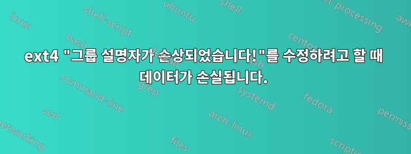 ext4 "그룹 설명자가 손상되었습니다!"를 수정하려고 할 때 데이터가 손실됩니다.