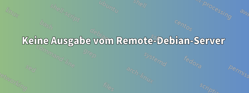 Keine Ausgabe vom Remote-Debian-Server