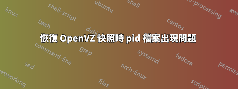 恢復 OpenVZ 快照時 pid 檔案出現問題