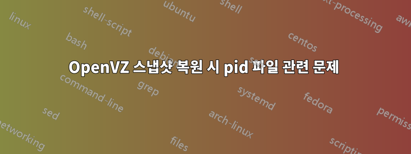 OpenVZ 스냅샷 복원 시 pid 파일 관련 문제