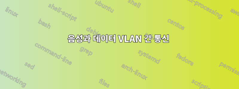 음성과 데이터 VLAN 간 통신