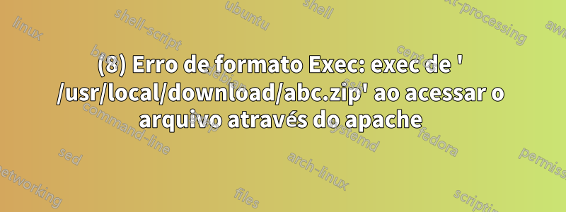 (8) Erro de formato Exec: exec de ' /usr/local/download/abc.zip' ao acessar o arquivo através do apache