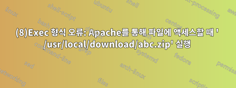 (8)Exec 형식 오류: Apache를 통해 파일에 액세스할 때 ' /usr/local/download/abc.zip' 실행