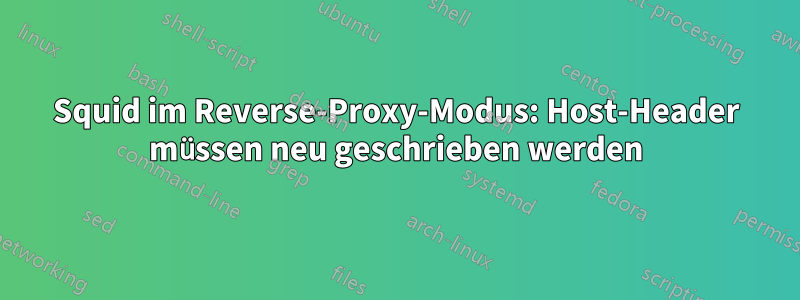 Squid im Reverse-Proxy-Modus: Host-Header müssen neu geschrieben werden