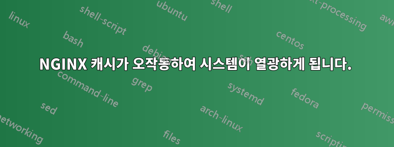 NGINX 캐시가 오작동하여 시스템이 열광하게 됩니다.