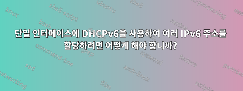 단일 인터페이스에 DHCPv6을 사용하여 여러 IPv6 주소를 할당하려면 어떻게 해야 합니까?