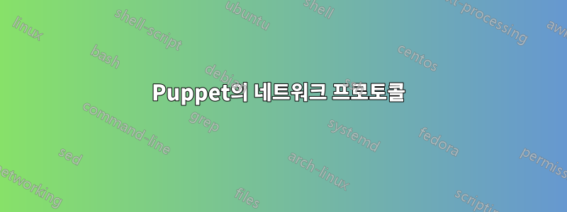 Puppet의 네트워크 프로토콜 