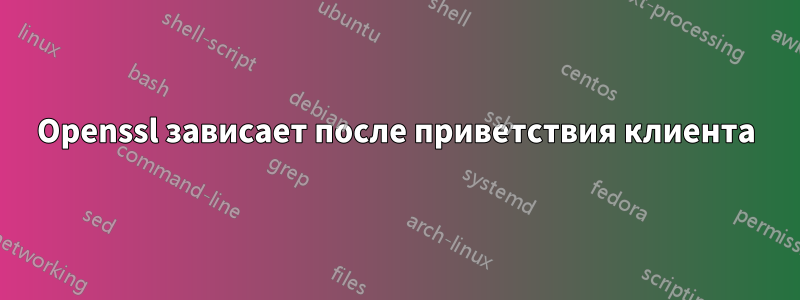 Openssl зависает после приветствия клиента