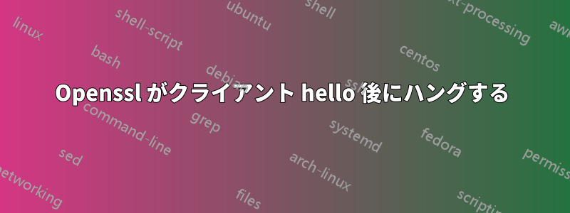 Openssl がクライアント hello 後にハングする