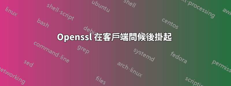 Openssl 在客戶端問候後掛起