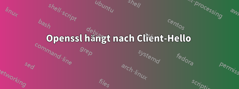 Openssl hängt nach Client-Hello