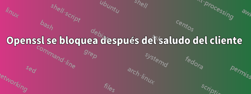 Openssl se bloquea después del saludo del cliente