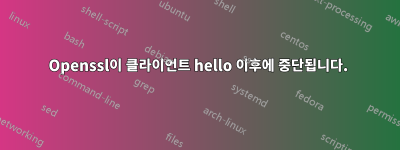 Openssl이 클라이언트 hello 이후에 중단됩니다.