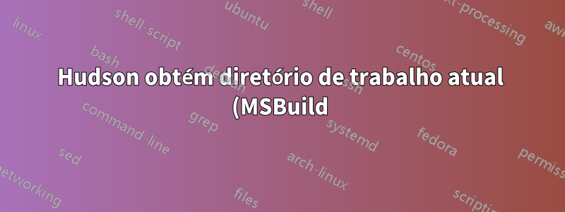 Hudson obtém diretório de trabalho atual (MSBuild)