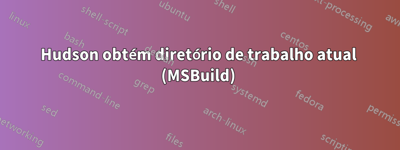 Hudson obtém diretório de trabalho atual (MSBuild)