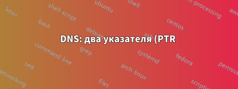 DNS: два указателя (PTR) с одинаковым IP-адресом, разрешающие разные хосты