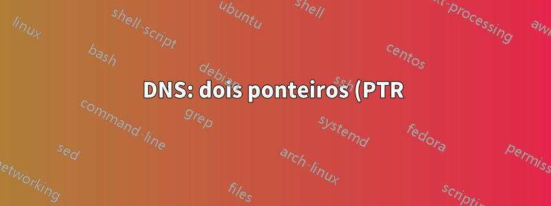 DNS: dois ponteiros (PTR) com o mesmo IP resolvido para hosts diferentes