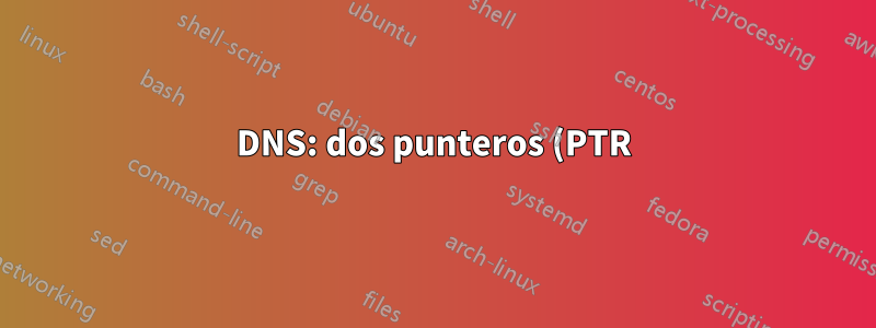 DNS: dos punteros (PTR) con la misma IP se resuelven en diferentes hosts