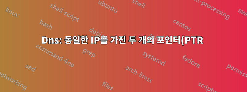 Dns: 동일한 IP를 가진 두 개의 포인터(PTR)가 다른 호스트로 확인됩니다.