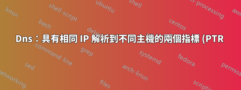 Dns:具有相同 IP 解析到不同主機的兩個指標 (PTR)