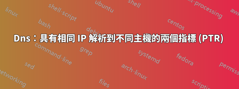 Dns：具有相同 IP 解析到不同主機的兩個指標 (PTR)