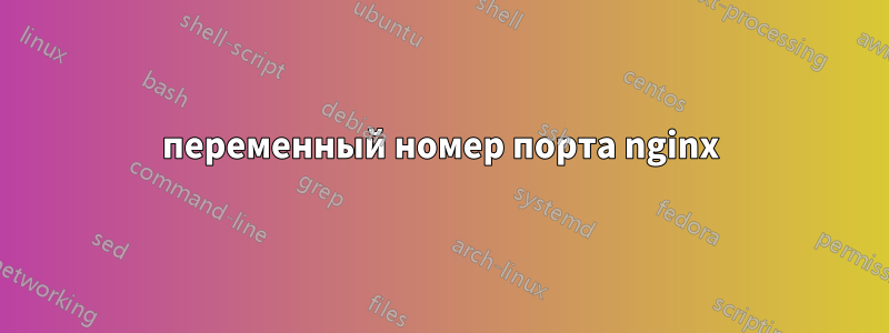 переменный номер порта nginx