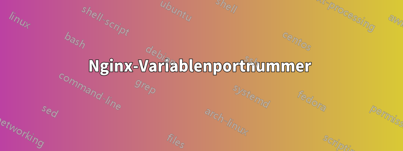 Nginx-Variablenportnummer